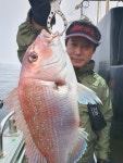 루어낚시조황+ - 5/31 신조선 [군산 해룡호]_참돔타이라바 오전반 조황_사이즈 좋고 ~ 손님고기 광어까지 ~!