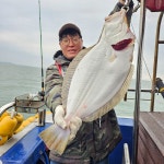 (西)서해조황 - 5월 2일 오천 가즈아호 대광어 조황 99cm 인생대광어