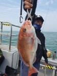 루어낚시조황+ - [5월 11일 군산 조황] 참돔 타이라바 오전반 16인 조황 – 신조선 해룡호, 7짜 참돔과 8짜 광어로 존재감 입증