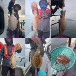 루어조황 ~2025.09.30 313 페이지 > 인낚ㅣ인터넷바다낚시