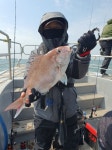 루어낚시조황+ - [5월 11일 군산 조황] 참돔 타이라바 오전반 16인 조황 – 신조선 해룡호, 7짜 참돔과 8짜 광어로 존재감 입증