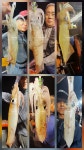 136마리 장원 한치,오징어 쏟아집니다 통영신세계호