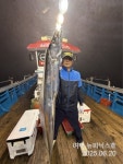 [통영항진피싱] 통영 영해한계선에서 !!! "갈치 억수"로 잡았습니다!!~~~^^ [[ 토욜완료, 일요일부터 자리있어요~~ ]] [통영항진피싱] 통영...