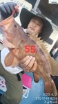 (南)남해조황 - 붉바리낚시 대물5짜만3수~농어85.마리수조황