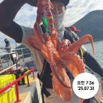 먹물조황 ~2025.09.30 744 페이지 > 인낚ㅣ인터넷바다낚시