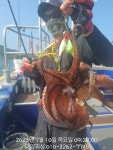 루어조황 169 페이지 > 인터넷바다낚시