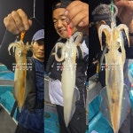 [통영대교피싱]선수님들 대포한치 잡으러 오세요~