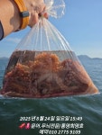 문어는 뽑아 내야 제맛입니다