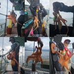 사량도 돌문어 착한 선비로 고고~~~