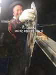 통영 창현호 끝없는 갈치행렬! 100%당일조황!
