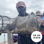 (여수타이슨호) 평일 쭈꾸미 4만원 나이스조황!! 잘나옵니다!!