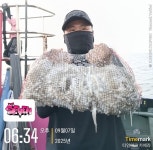 (西)서해조황 - 군산 뉴-세븐호 [25. 9월 7일 쭈꾸미] 사리?그게 먼가요? 먹는건가요?◑◐