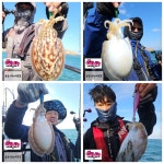 (西)서해조황 - 군산 뉴-세븐호 [25. 10월 25일] 갑오징어 조황정보