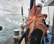 히트!!바다하리호 야간 고등어&삼치 터지고 올라오고해도 굿조황~!(8.14)