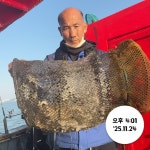 (南)남해조황 - (여수타이슨호) 11월24일 쭈꾸미 대박조황!!! 장원 160수!