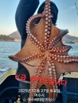 26일(토) 문어전투낚시 자리많습니다. 황제낚시가능