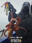 (西)서해조황 - 군산킹스타호(12/13))문어 실시간 소식