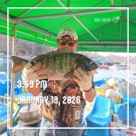 (南)남해조황 - 해양레저 흘림 카고 54감성돔외 마리수 조황