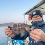 루어낚시조황+ - [ 볼락루어 ] 02/18 용초도 밤볼락 조황