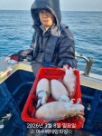 (南)남해조황 - 갑오징어 목요일 출항합니다 13자리여유 선비할인중 이벤트진행 중 기상도 좋습니다 묵직한 손맛 즐기실분들 미리미리 연락주세요