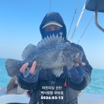 도다리 참가자미 가즈아?(수금토 예약시작)뉴대양호