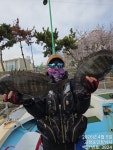 선상(배) / 좌대 조황 165 페이지 > 인낚ㅣ인터넷바다낚시