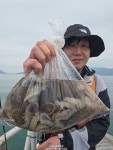 (南)남해조황 - 1일(수)군화짝갑이랑 알쭈꾸미조황!! 내일2일(목)자리여유있습니다.