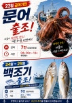 사량권 야간 낙지