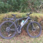  검토 |  온라인 쇼핑 비교 