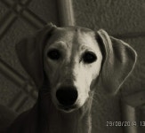 광학 안경 검토 |  온라인 쇼핑 비교