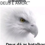 JIMI JM-G3102 家庭用ミニ電動ドライバー 充電式 小型ポータブルマルチ機能ミニリファインドドライバー 磁気ツールセットレビュー... 