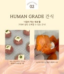 해피아월 [강아지 수제 간식] 댕댕 야채 꼬꼬 마들렌 5P 🐔