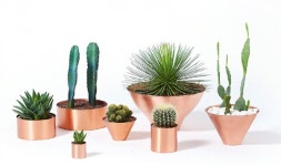 초록초록 나만의 정원, 토리가드닝 SALE :: 1300k 천삼백케이 초록초록 나만의 정원, 토리가드닝 SALE