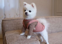 옷이 날개다멍! 몽앤치크 SALE :: 1300k 천삼백케이 옷이 날개다멍! 몽앤치크 SALE