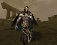 검은 심장 라스베르그 : 아이온-NCSOFT