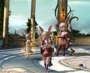 섭게에 올렷지만 별 반응없었던 토끼 사육장.. : 아이온-NCSOFT