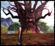 아라카. : 아이온-NCSOFT