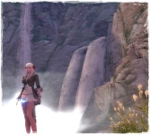 아라카. : 아이온-NCSOFT