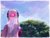 아라카. : 아이온-NCSOFT