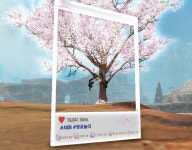 #봄이라그램-화사한 벚꽃 앞에서 #점프샷를~^^ : 아이온-NCSOFT