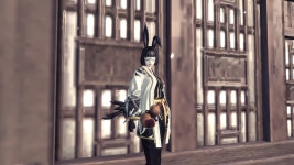 환주의진! 어떻게 쓰면 잘썻다고 소문날까! : 블레이드 & 소울-NCSOFT 환주의진! 어떻게 쓰면 잘썻다고 소문날까! :  블레이드 & 소울-NCSOFT