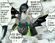 무기티어 성장 vs 가르기 비급 배우기 : 블레이드 & 소울-NCSOFT 무기티어 성장 vs 가르기 비급 배우기 :  블레이드 & 소울-NCSOFT