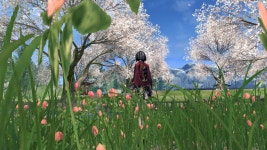 비월의 은총 전리품 : 블레이드 & 소울-NCSOFT 비월의 은총 전리품 :  블레이드 & 소울-NCSOFT