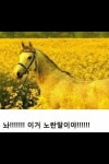놔!! 이거 노란말이야 : 블레이드 & 소울-NC 놔!! 이거 노란말이야 :  블레이드 & 소울-NC