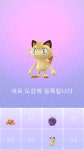 자유