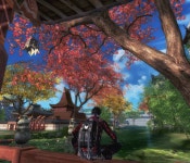 심안의 여행 : 블레이드 & 소울-NCSOFT 심안의 여행 :  블레이드 & 소울-NCSOFT