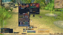 이거 올려야 합니까............... : 블레이드 & 소울-NCSOFT 여러분....... 이거 올려야 합니까............... :  블레이드 & 소울-NCSOFT