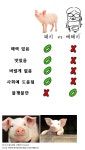 돼지혐오를 멈춰주세요 ㅠㅠ : 블레이드 & 소울-NCSOFT 돼지혐오를 멈춰주세요 ㅠㅠ :  블레이드 & 소울-NCSOFT