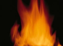 누구냐 누가옆꾸리 콕 - 자유게시판 : plaync 블레이드 & 소울