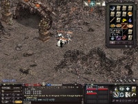잉여력 초절정 판다곰 진화 엄마곰 아빠곰 애기곰 완성 : 리니지-NCSOFT